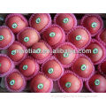 Fresh Red Fuji Apple Fruit
